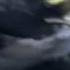 Peregrine Falcon Sky Dive Inside The Perfect Predator BBC