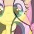 Este Dia Va A Ser Perfecto Version Fluttershy