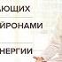 Урок 2 Медитация для начинающих Работа с нейронами мозга Усвоение энергии Имрам Крийя Йога