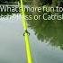 Audio Bassfishing Trend Catfishing