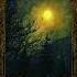 Top Atmospheric Black Metal Ambient Underground Music Metal Viral Blackmetal Rock Metalhead