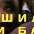 Хочи мирзо ТАРОШИДАНИ МУЙИ БАДАН ЧОИЗ АСТ Ё НЕ САВОЛ БА ХОЧИ МИРЗО