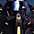 Predaking Scenepack Cc