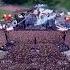 Rammstein Live In Concert 2024 Shorts Rammstein Metal Duhast