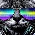 ONLY REMIX BOOTLEG 2022 FROM THE PAST MEGA MIX BY DJ CARYSMA