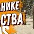ВСЕ ЧТО ТЫ МОГ НЕ ЗНАТЬ О НОВОЙ МЕХАНИКЕ СТРОИТЕЛЬСТВА В SONS OF THE FOREST