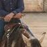 25 000 KM Of Cowboy Life Lessons Filipe Masetti Leite TEDxCalgaryStudio