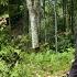 The Girl Fought Back Against The Kidnapper Will The Police Arrive In Time To Save The Girl