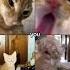 Muhehehe