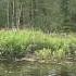 Fishing Reelfoot Lake