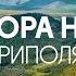 Дикая природа России 6 Гора Неройка Приполярный Урал