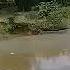 CCTV Bira Pond