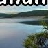 Балапан қаз
