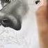 Drawing Kerem Bürsin Short Shorts Drawing Kerembürsin Sençalkapımı Art