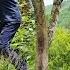 Lucky Elephant Boy Was Helped By Drunk Man To Escape From Bad Guys