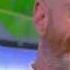 L Interview De Jimmy Somerville C à Vous 09 03 2015