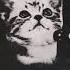 Odetari Narcissistic Personally Disorder Rage Love Lust On Fire Sped Up Revurb