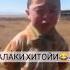 фалаки хитои