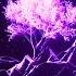 INSTASAMKA TOXIC Prod Realmoneyken Slowed Reverb HGM