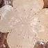 Phul Wala Paratha Parathaarts Parathatips Trendingshorts Viralshorts