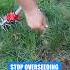 Spring Seeding Fails Every Time Here S Why Shorts