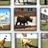 All Animals Cheat Code Indian Bike Driving 3d Shorts Short Gaming