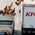 Fighter Among The Hens Red Rooster Rare To See Boo Absurd Video