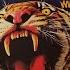 Tygers Of Pan Tang Wild Cat 1980 Vinyl