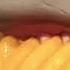 Shark Puppet Eats Cheese