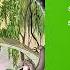 Sam Robin That S What Friends Are For Jungle Book Demo Cover