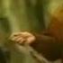 Tumhara Aur Mera Naam Junaid Jamshed Naam Title Song Complete 1995 PTV ARY Music