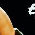 Cut Off Escuro Remix Ringtone Famous English Tone Download Tone