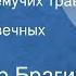 Владимир Брагин В стране дремучих трав Часть 3 Симфония вечных красок
