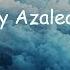 Iggy Azalea TEAM Lyrics