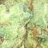 Super Lemon Haze All About This Strain