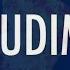 Tudim