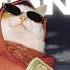 FREE FOR PROFIT HARD BOUNCY TRAP TYPE BEAT MILLIONAIRE