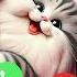 Mi Ringtone