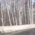 Отмороженные на всю голову На знаки начхать