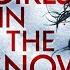 The Girls In The Snow Nikki Hunt Book 1 AUDIOBOOK Stacy Green Author Kate Handford Narrator