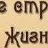 С годами становлюсь мудрей Светлана Лисиенкова