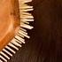 ASMR Sleep Recovery 23 3 Hours Of Heavenly Hair Brushing No Talking