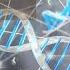 Why Hasn T Lehi S DNA Been Found Knowhy 280