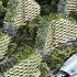 Cities Of The Future The World In 2050