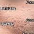 Best Serum For Open Pores Acne Scarring The Ordinary Niacinamide 10 Review