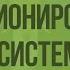 Значение строение и функционирование нервной системы Видеоурок по биологии 8 класс