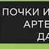 Почки и повышенное артериальное давление