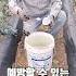 250523 고추 힘없이 안자라면 이렇게 하셔야 합니다
