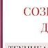 Исцеление душевной боли Медитация Созерцание дождя