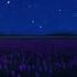 Hanna Lindgren Garden Of Night